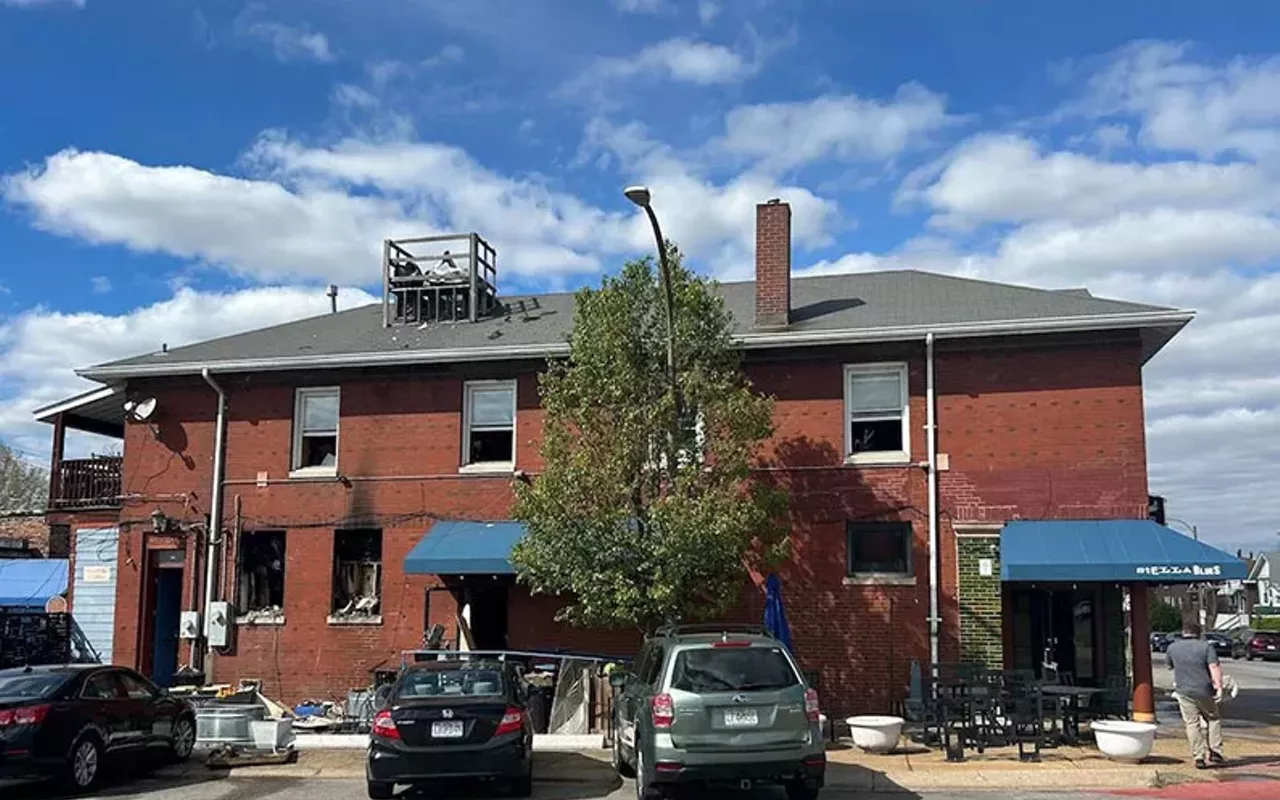 stella blues in tower grove south